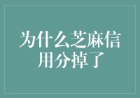 芝麻信用分下降的原因分析与对策