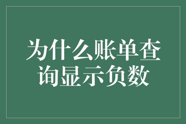 为什么账单查询显示负数