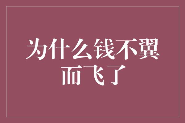 为什么钱不翼而飞了