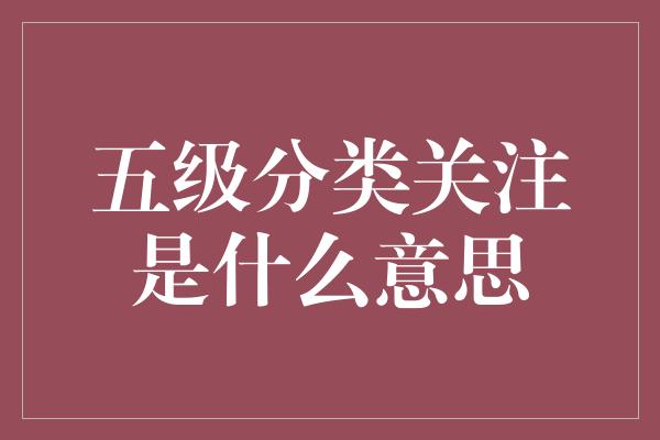 五级分类关注是什么意思