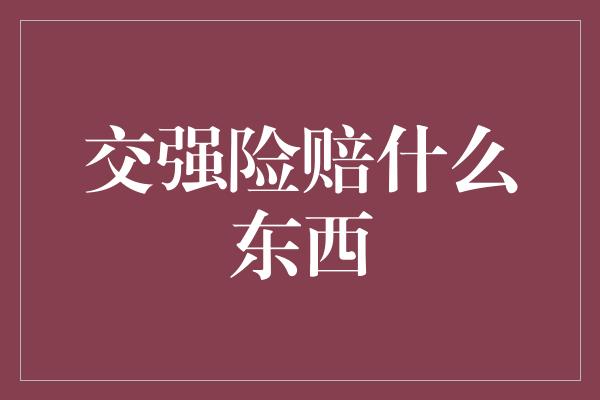 交强险赔什么东西