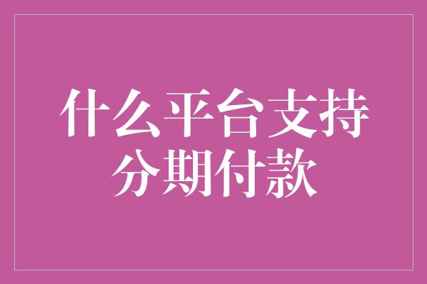 什么平台支持分期付款