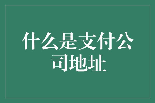 什么是支付公司地址