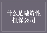 融资性担保公司？真的能帮我们解决资金难题吗？