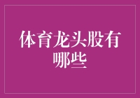 体育龙头股的投资机遇：解读中国体育产业的未来之星