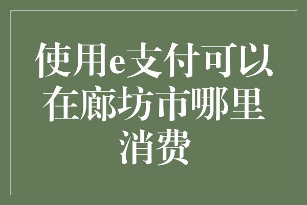 使用e支付可以在廊坊市哪里消费