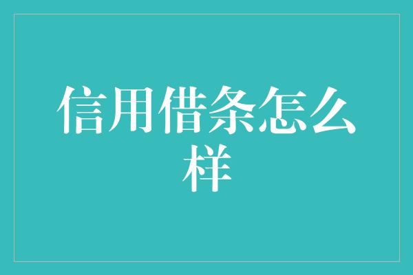 信用借条怎么样