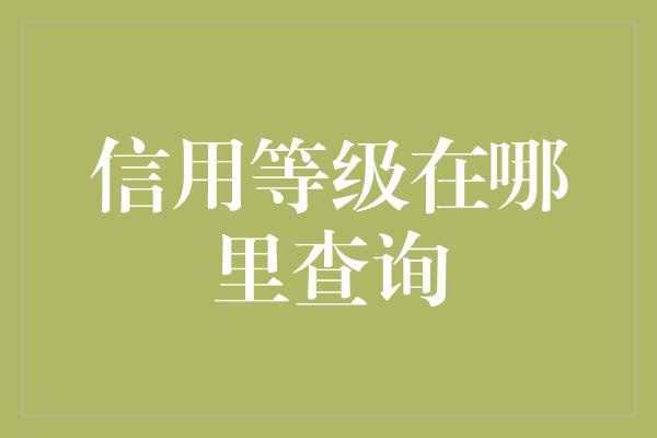 信用等级在哪里查询