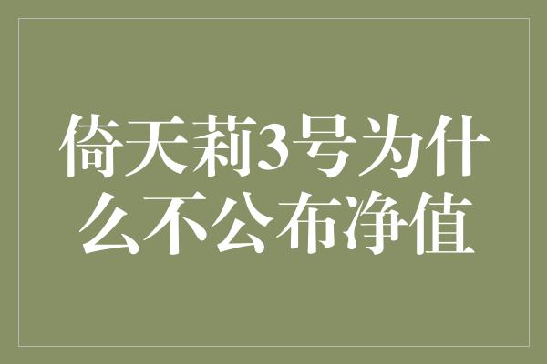 倚天莉3号为什么不公布净值