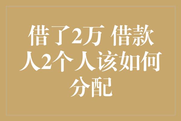 借了2万 借款人2个人该如何分配