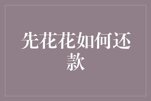 先花花如何还款