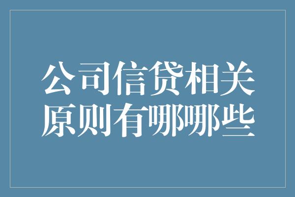 公司信贷相关原则有哪哪些