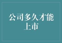 上市之路：公司成功的里程碑与背后的艰辛