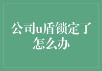 公司U盾锁定：解锁困境与应急策略