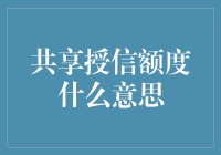 共享授信额度：资源共享的金融新模式