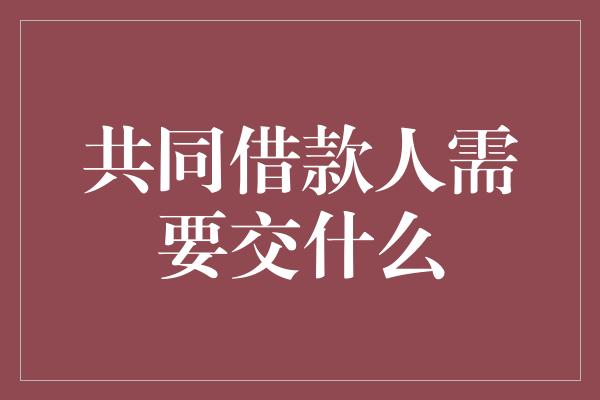 共同借款人需要交什么