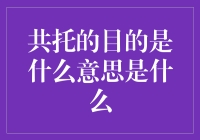 共同托举梦想？原来这才是真正的共托！