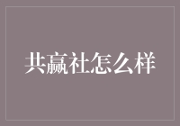 共赢社：构建企业与社会双赢生态的探索者