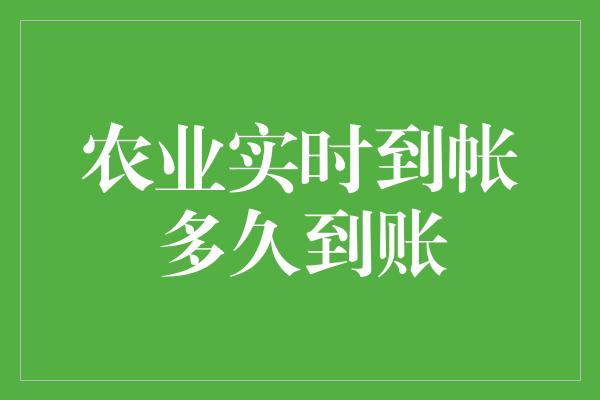 农业实时到帐多久到账