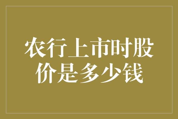 农行上市时股价是多少钱