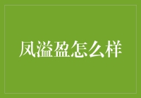 凤溢盈？听起来像是财富要满出来了！