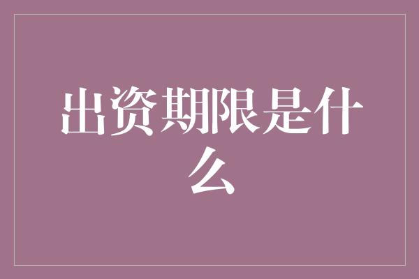 出资期限是什么