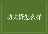 功夫贷：理财领域的独特创新，还是潜在的投资陷阱？