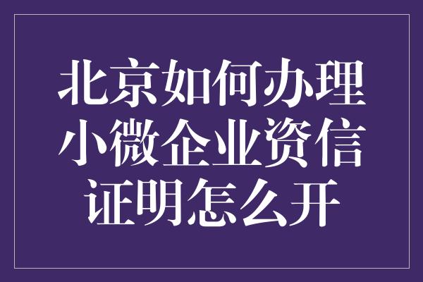 北京如何办理小微企业资信证明怎么开