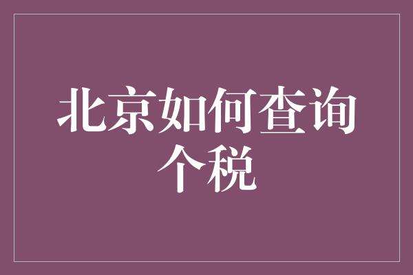 北京如何查询个税