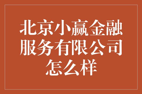 北京小赢金融服务有限公司怎么样