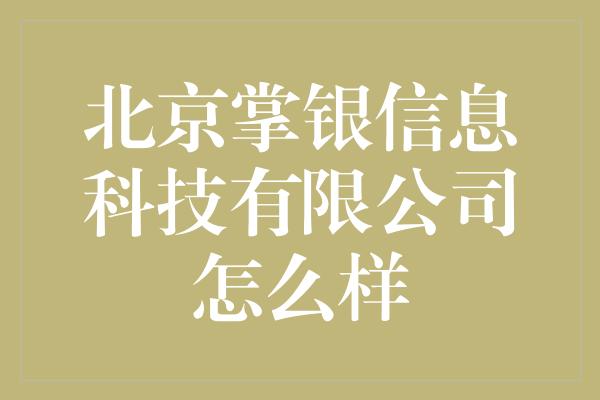 北京掌银信息科技有限公司怎么样