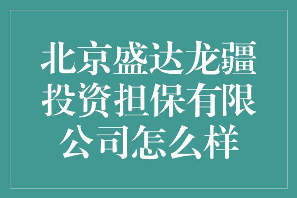 北京盛达龙疆投资担保有限公司怎么样