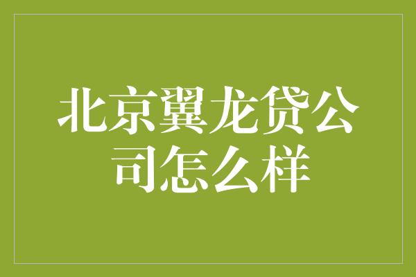 北京翼龙贷公司怎么样