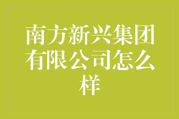 南方新兴集团有限公司怎么样