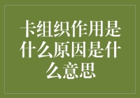 卡组织：金融科技的桥梁作用与背后的驱动因素分析