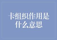 卡组织在金融生态系统中扮演的角色和重要性分析