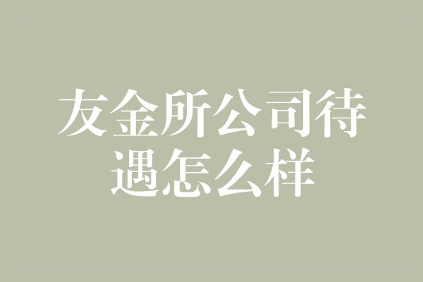 友金所公司待遇怎么样