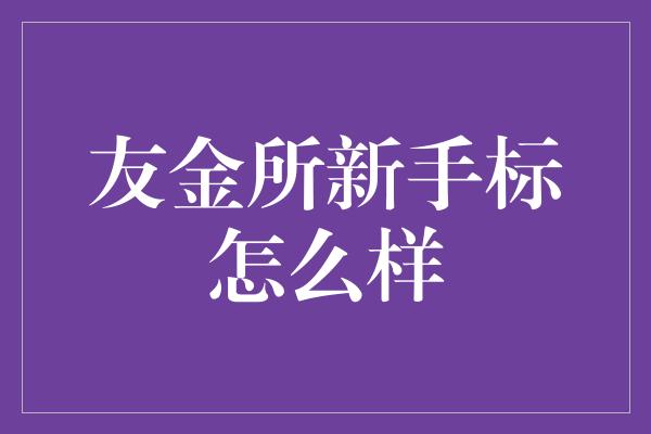 友金所新手标怎么样