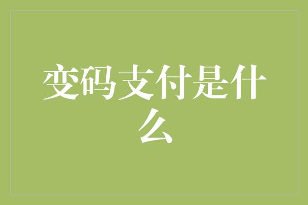 变码支付是什么