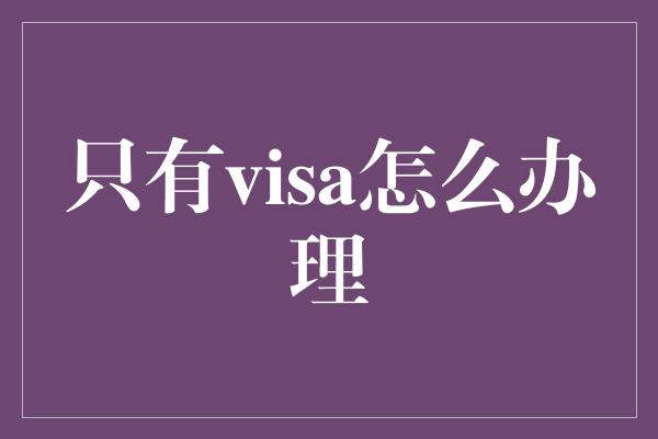 只有visa怎么办理