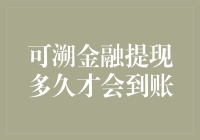 金融提现的速度与激情——从申请到到账的奇妙之旅