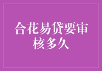 合花易贷审核：从绝望到希望的漫漫长路