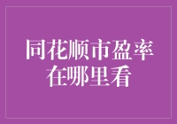 哇塞！同花顺市盈率？我在哪能找到它呢？