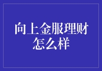 向上金服理财：一场资本市场的欢乐之旅