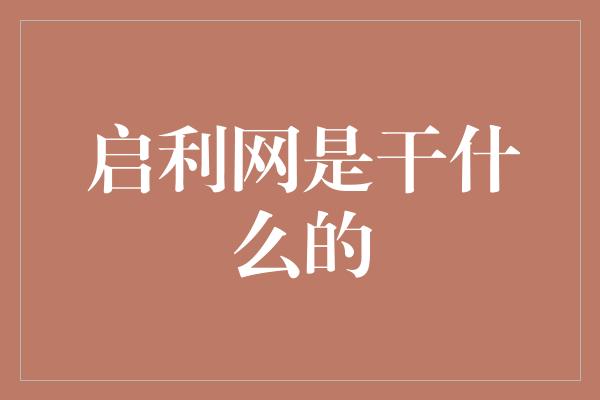 启利网是干什么的