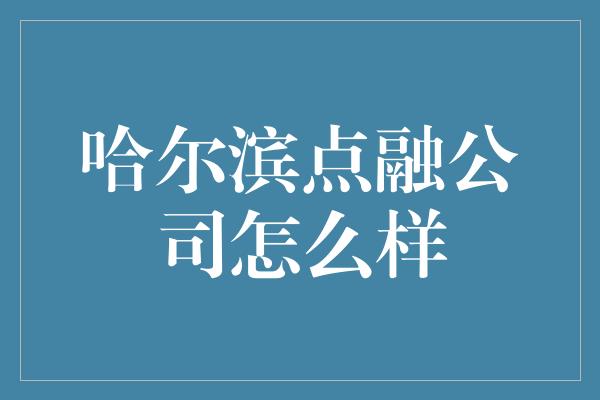 哈尔滨点融公司怎么样