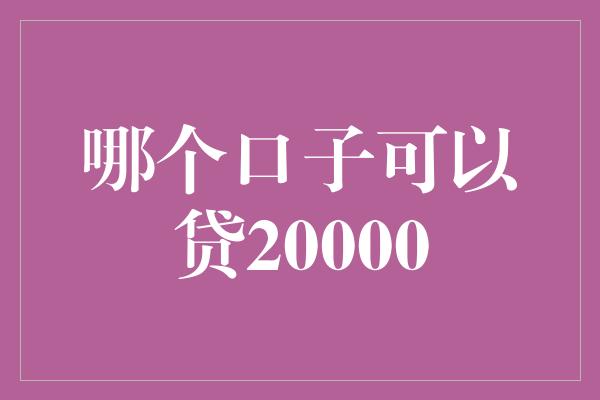 哪个口子可以贷20000