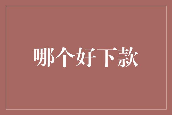 哪个好下款