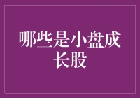 挖掘小盘成长股：策略与实践