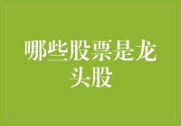 如何识别中国股市中的龙头股：关键指标与分析视角